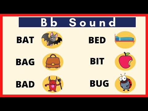 SHORT READING PRACTICE / ENGLISH VOCABULARY / Bb Sound